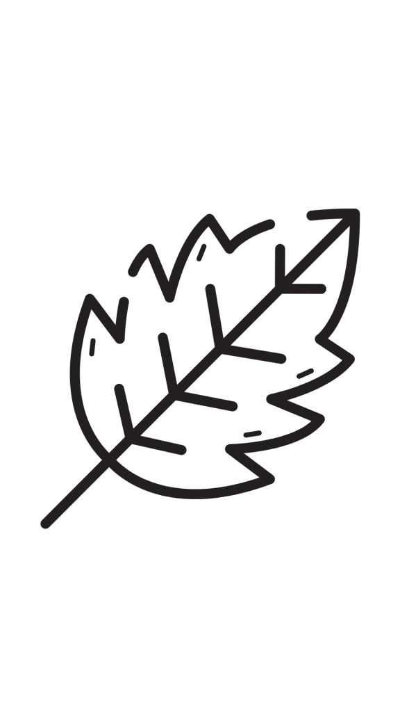 L’attribut alt de cette image est vide, son nom de fichier est 4-1-576x1024.png.